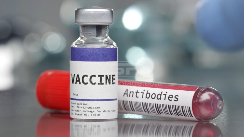 Vaccine and antibodies vial